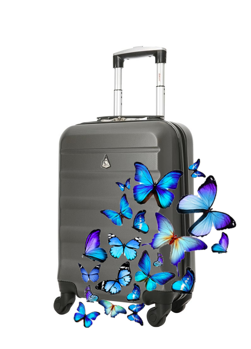 a　Sensory　–　Suitcase　SE1171　in　Garden　SensoryPlus