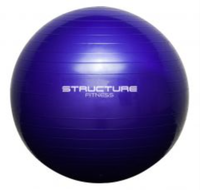 SE620 - 65cm Anti Burst Gym Ball