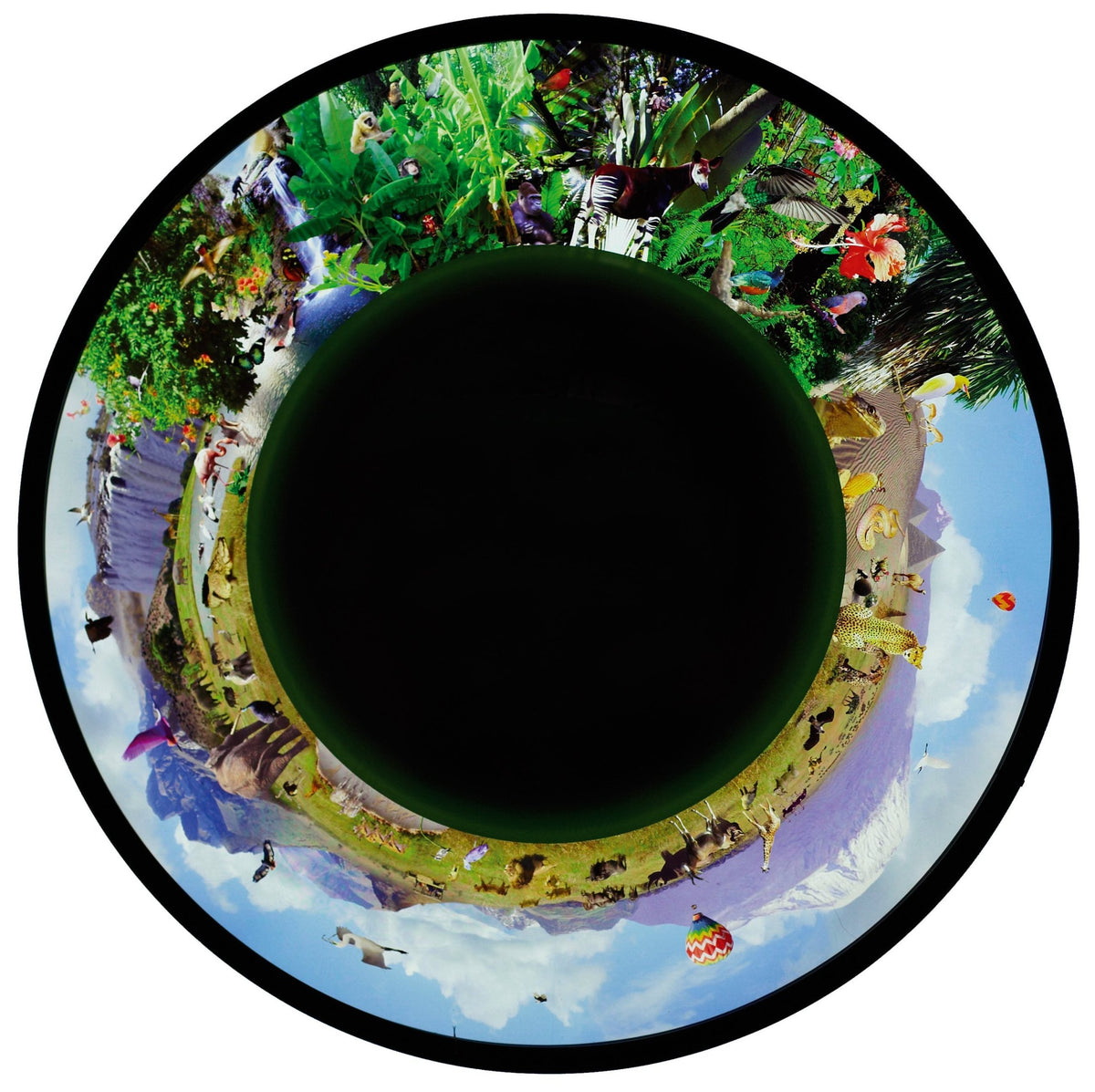 Max Effect Projection Wheels – SensoryPlus